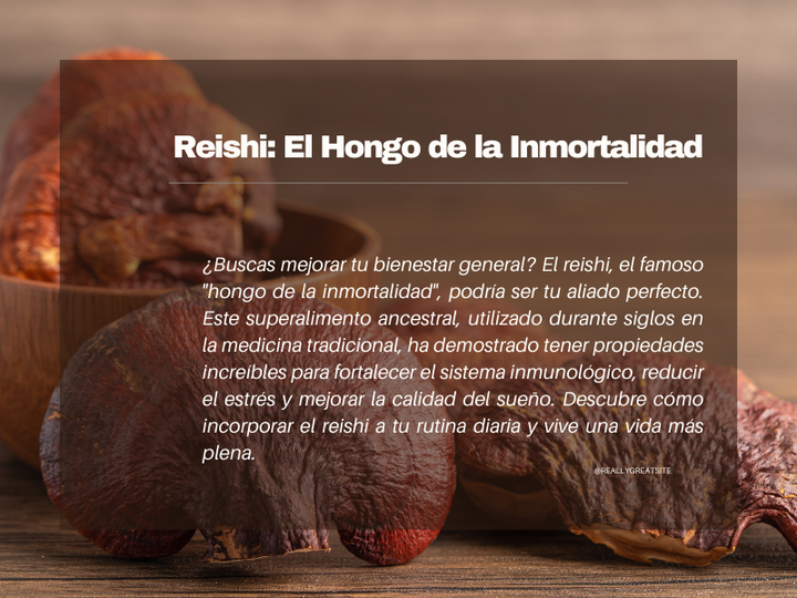 Reishi: El Hongo de la Inmortalidad 🌿✨