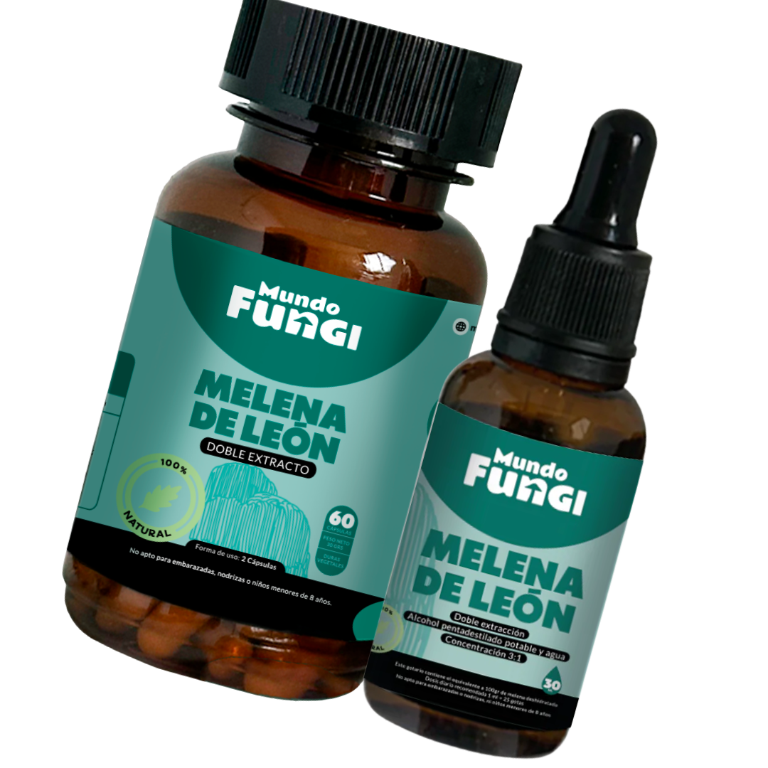 Pack Melena de León - Mundo Fungi 🍄