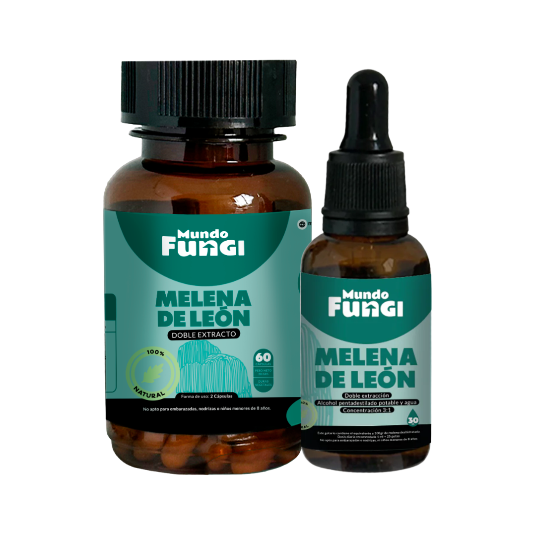 Pack Melena de León - Mundo Fungi 🍄