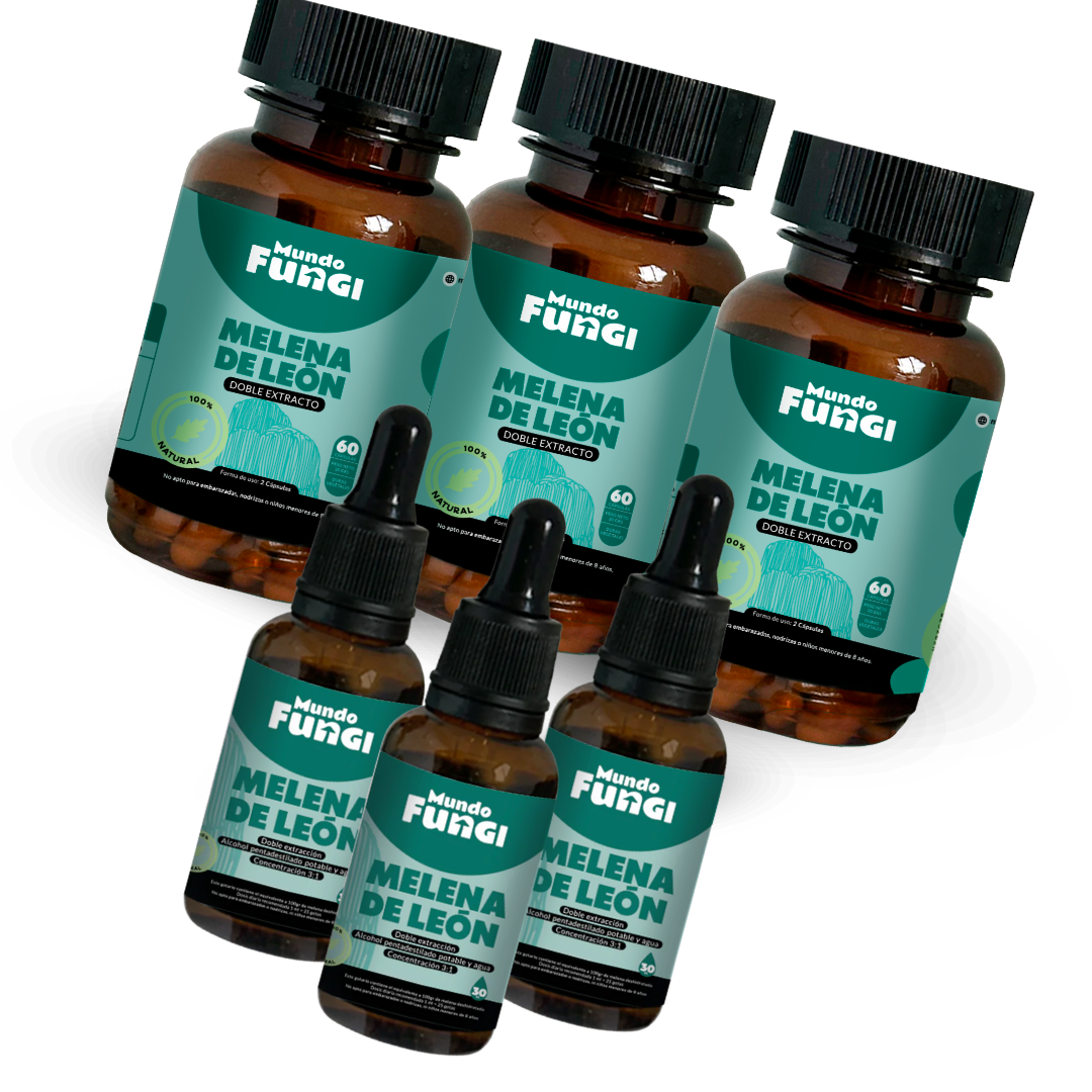 Pack Melena de León 3 Meses - Mundo Fungi 🍄