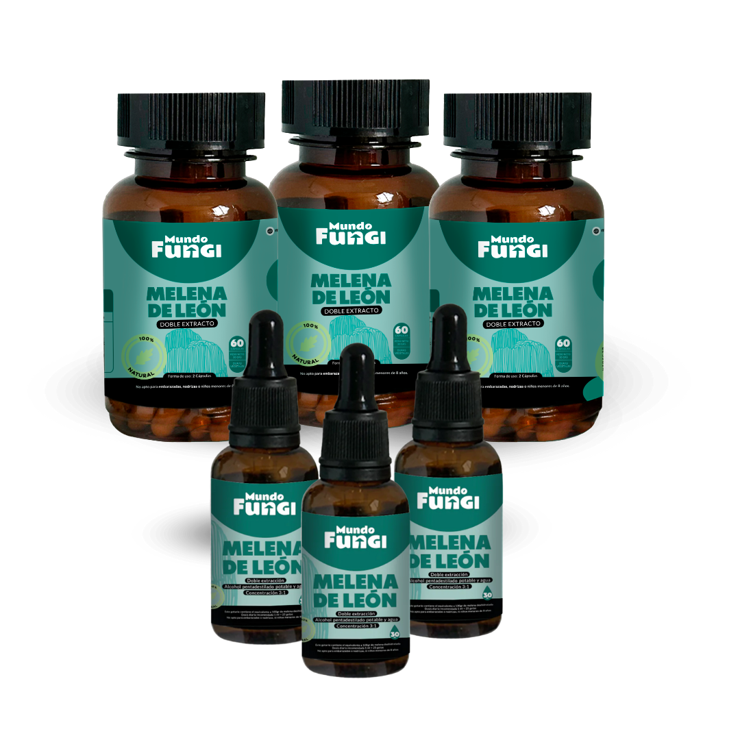 Pack Melena de León 3 Meses - Mundo Fungi 🍄