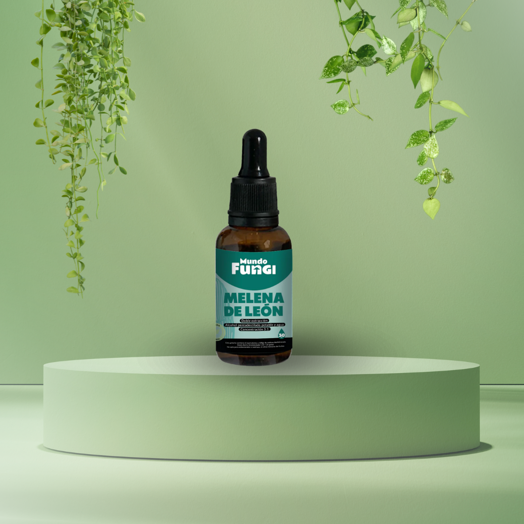 Pack Energía y Enfoque - Mundo Fungi 🍄