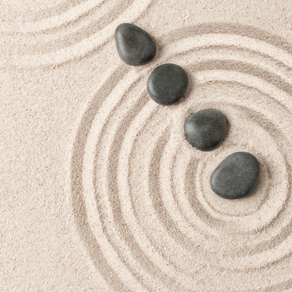 “Guía de Productos Masbien & Wellness: ciencia, naturaleza y bienestar para tu tienda”