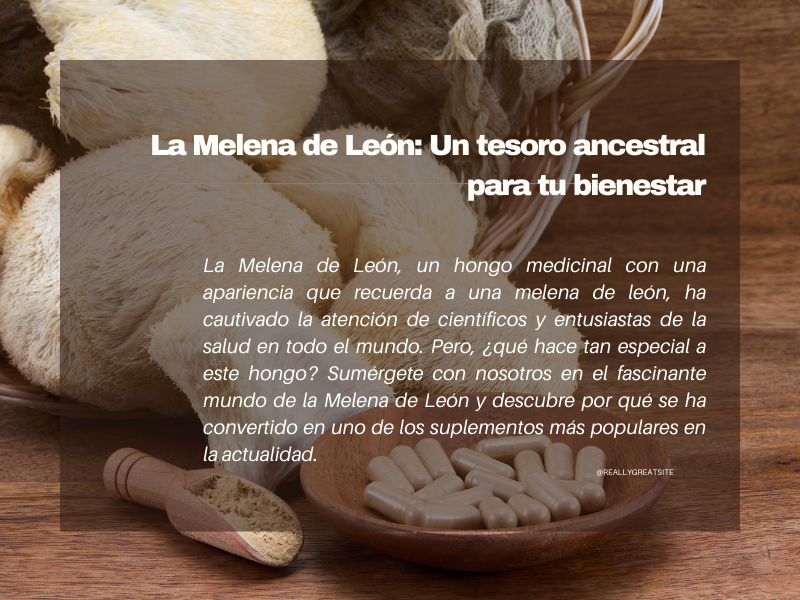 La Melena de León: Un tesoro ancestral para tu bienestar 🧠🍄