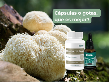 Melena de León: ¿Cápsulas o Gotas? Descubre por qué se complementan perfectamente 🍄🧠