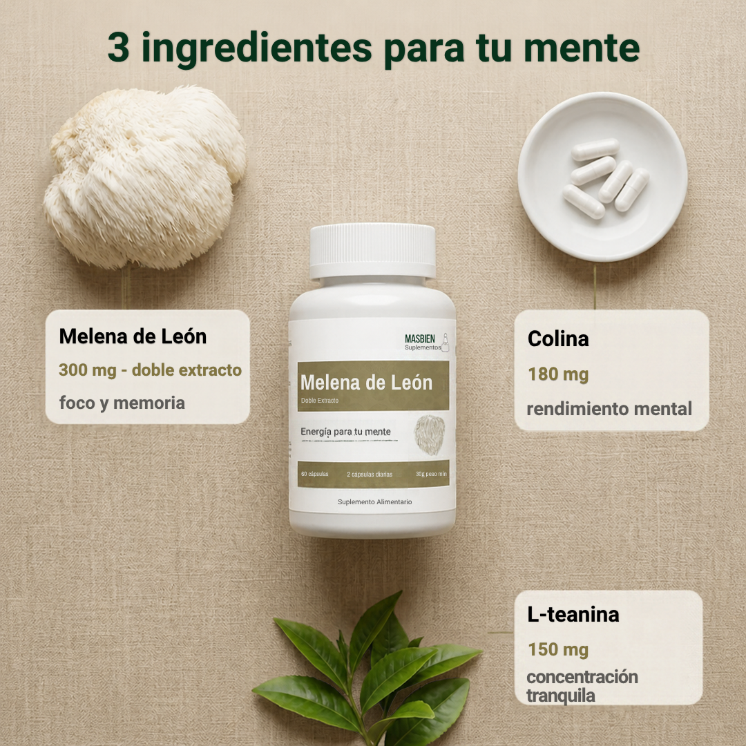 Melena de León Masbien Ingredientes
