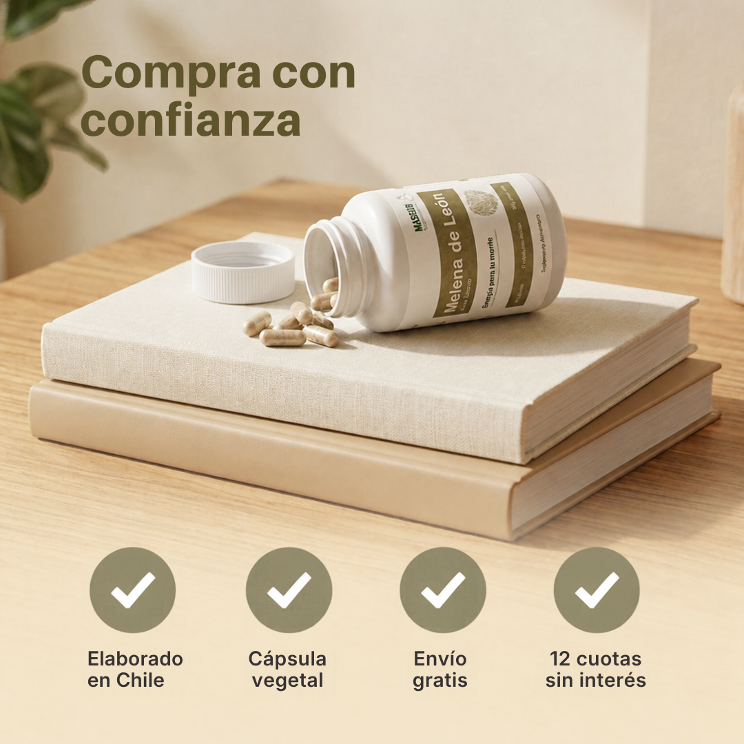 Melena de León Masbien Compra seguro