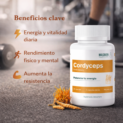 Cordyceps - Masbien Supplements