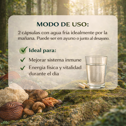 Mix Fungi - Wellness Supplements