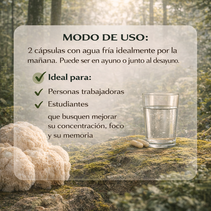 Melena de León - Wellness Supplements
