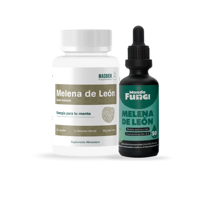 Pack Melena de León XL 🧠