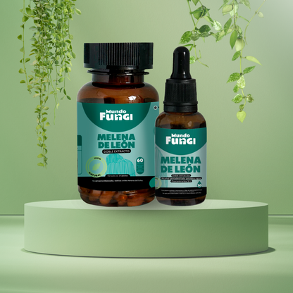 Pack Melena de León - Mundo Fungi 🍄