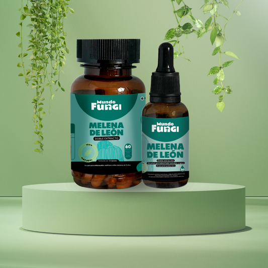 Pack Melena de León - Mundo Fungi 🍄
