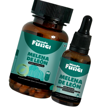 Pack Melena de León - Mundo Fungi 🍄