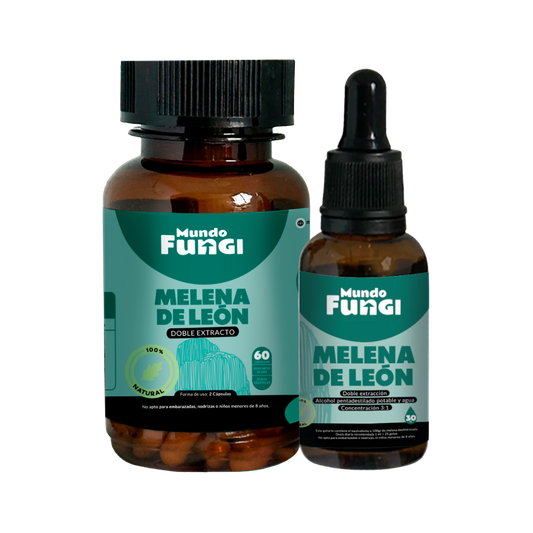 Pack Melena de León - Mundo Fungi 🍄