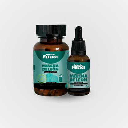 Pack Melena de León - Mundo Fungi 🍄