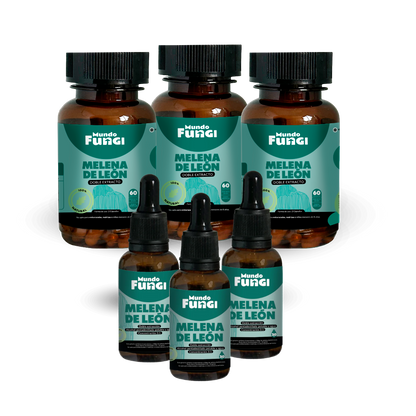 Pack Melena de León 3 Meses - Mundo Fungi 🍄
