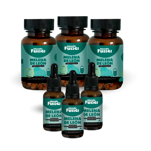 Pack Melena de León 3 Meses - Mundo Fungi 🍄
