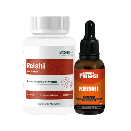 Pack Reishi 🍄