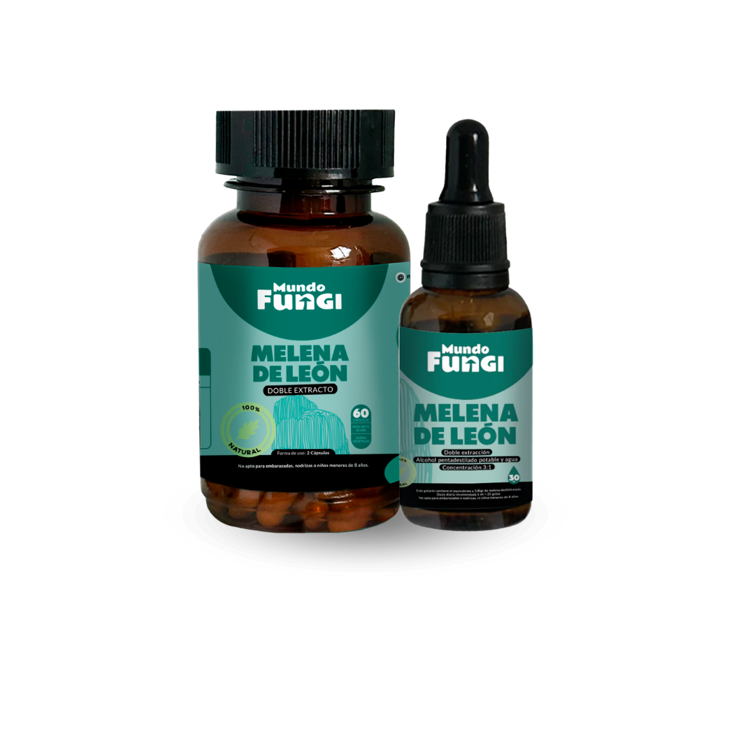 Pack Melena de León - Mundo Fungi 🍄