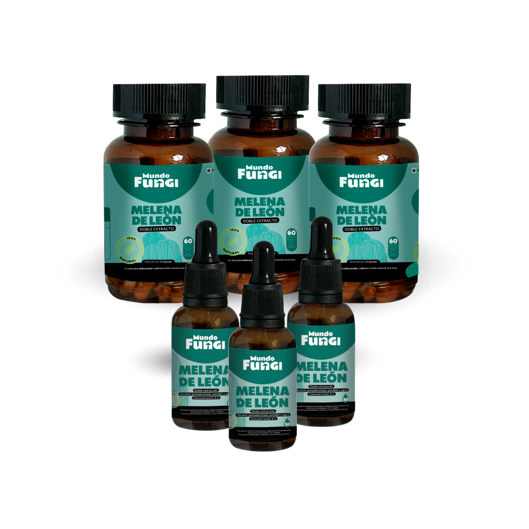 Pack Melena de León 3 Meses - Mundo Fungi 🍄
