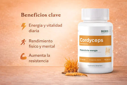 Cordyceps - Masbien Supplements