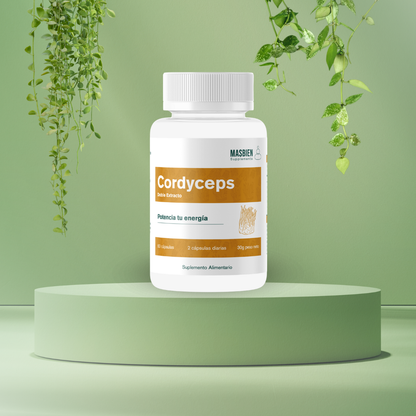 NUEVO Cordyceps - Cápsulas